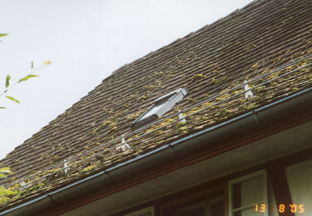 hornissennest 1 1989
