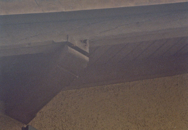 Hornissennest in Balkenverkleidung