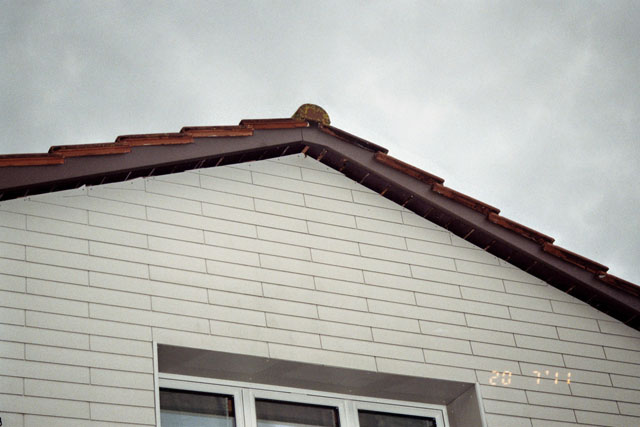 Hornissennest in Dachstock