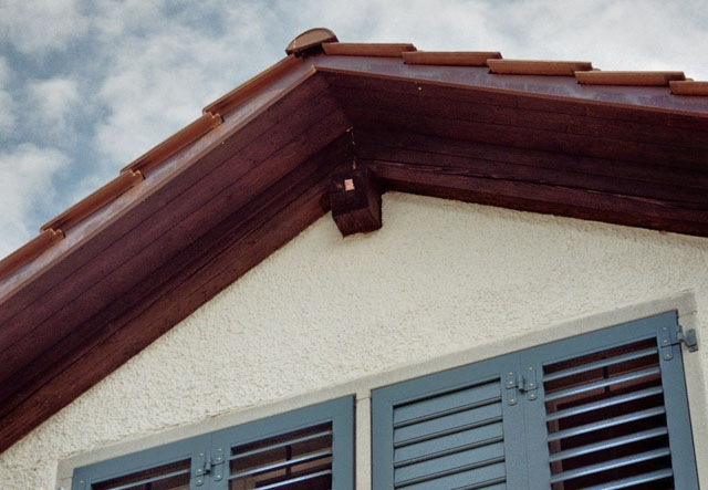 Hornissennest in Zwischendach