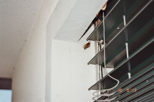 Hornissennest in Storennische