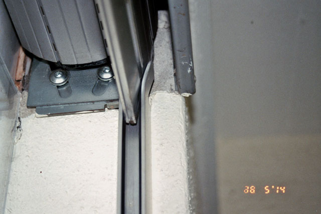 Hornissennestgründung in Rollladennische