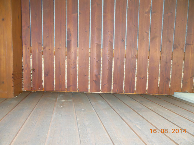 Hornissennest in Dachuntersicht