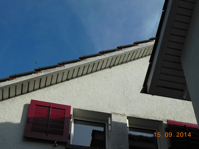 Hornissennest im Zwischendach