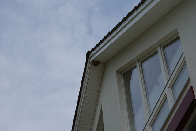 Hornissennest unter Dachgiebel