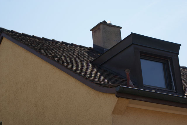 Hornissennest im Zwischendach