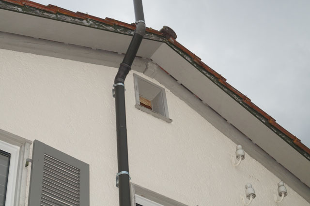 Hornissennest in Dachstock
