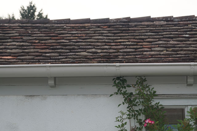 Hornissennest im Zwischendach