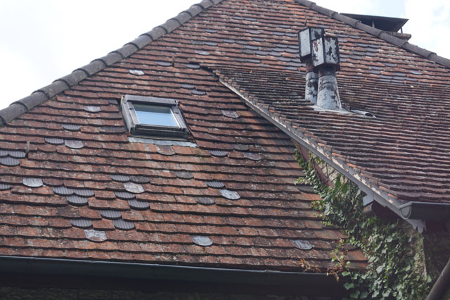 Hornissennest im Zwischendach