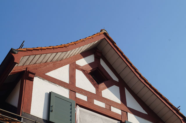 Hornissennest in Dachstock