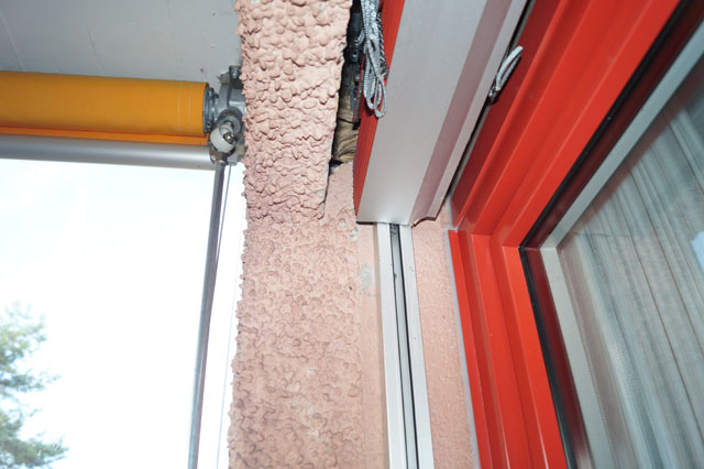 Hornissennest in Storennische