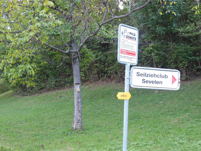 Hornissennest in Vogelnistkasten