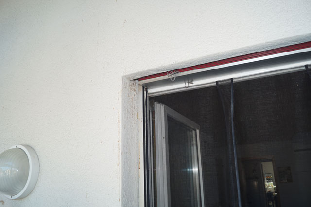 Hornissennest in Storennische