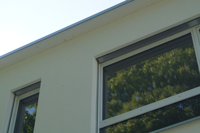 Hornissennest in Storennische