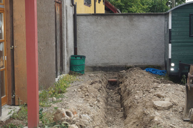 Hornissennest in Grünabfallsack