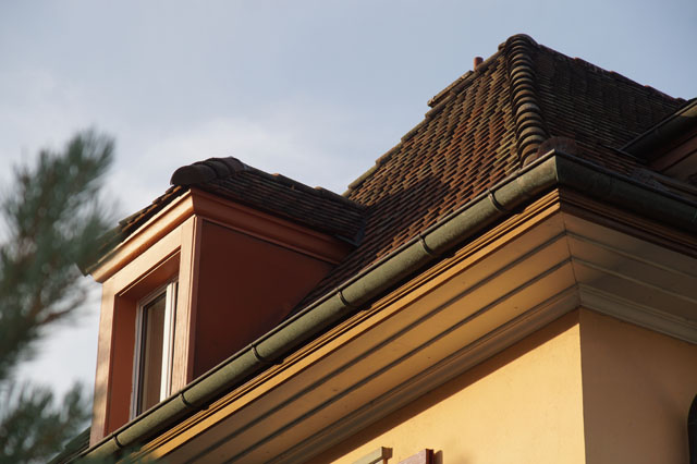 Hornissennest in Dachzwischenraum