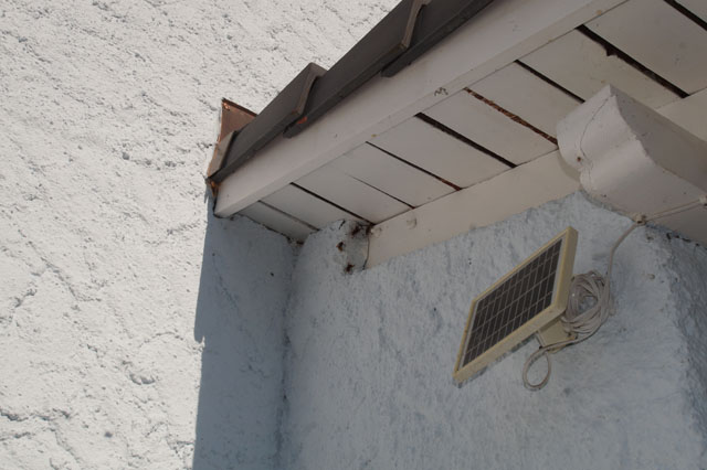Hornissennest im Zwischendach