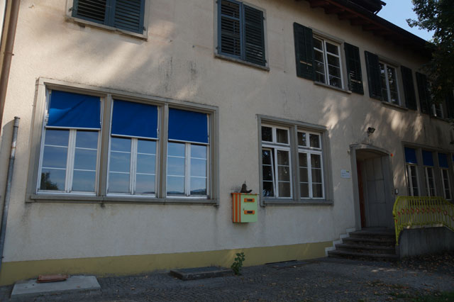 Hornissennest in Rollokasten