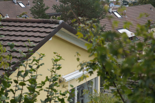 Hornissennest im Dachhohlraum