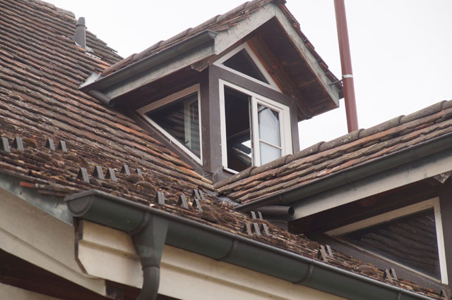 Hornissennest im Zwischendach