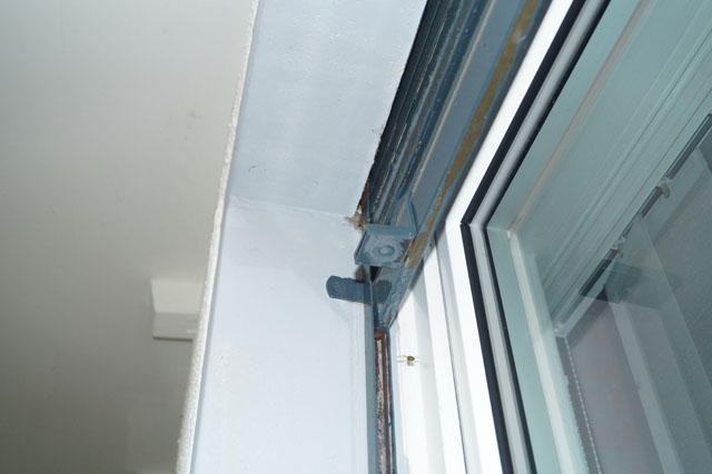 Nest der Gemeinen Wespe in Rollladenkasten