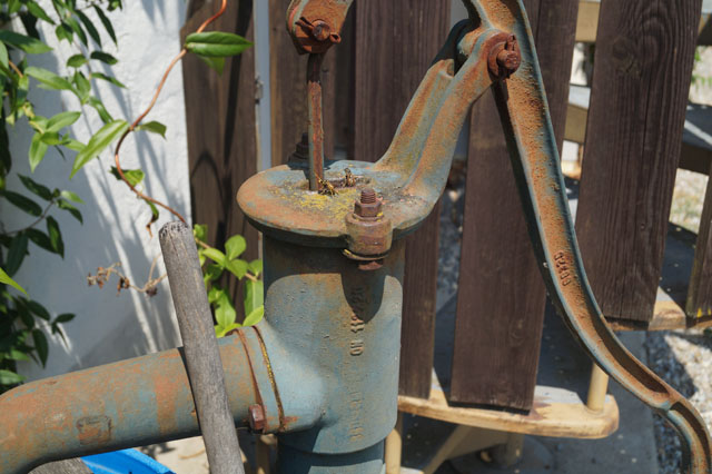 Haus-Feldwespe in Handwasserpumpe