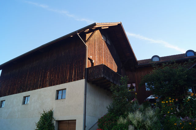 Mittlere Wespe an Trsturz