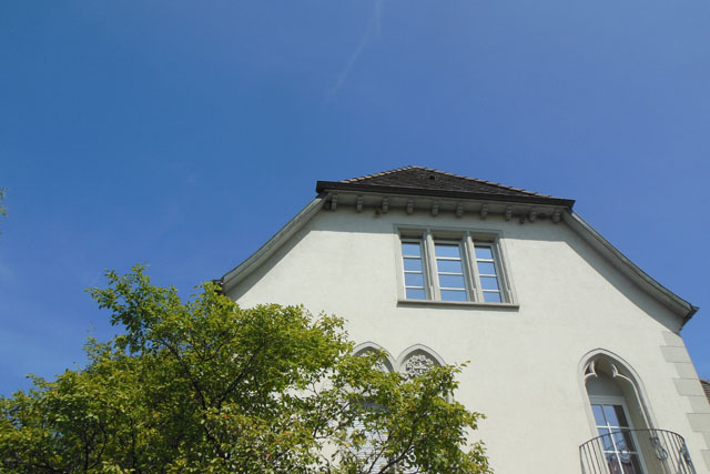 Mittlere Wespe an Dachuntersicht