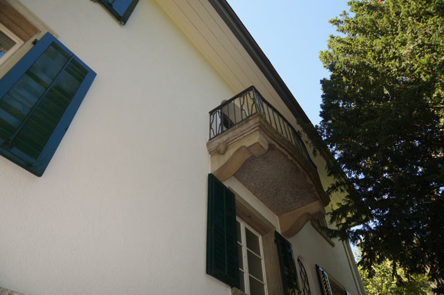 Mittlere Wespe an Fenstersturz