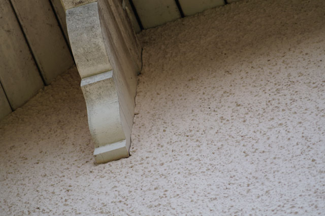 Deutsche Wespe 1n Zwischendach/ Fassade