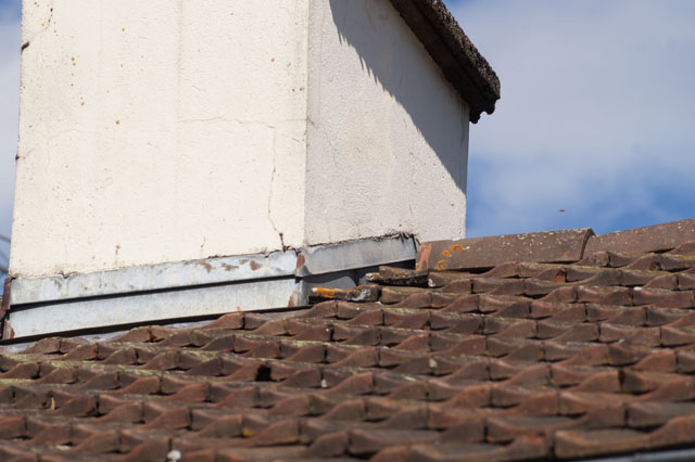 Deutsche Wespe in Zwischendach