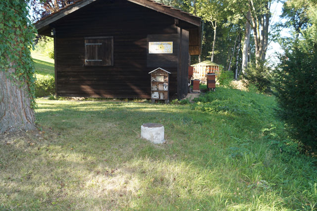 Hornissennest in Messschacht